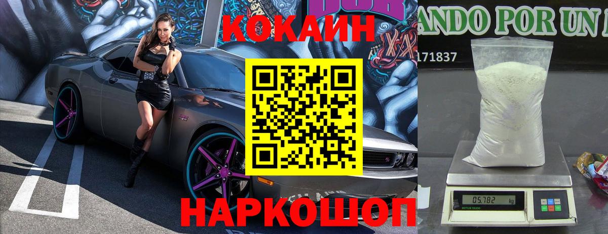 APVP Бийск