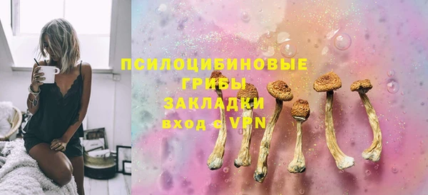 тгк Арсеньев
