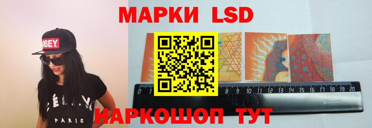 блэк спрут сайт  LSD-25 экстази  ЛСД экстази ecstasy  Бийск  Вход с VPN  Лсд 25 экстази ecstasy 