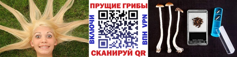 Псилоцибиновые грибы мухоморы  blacksprut tor  Бийск 