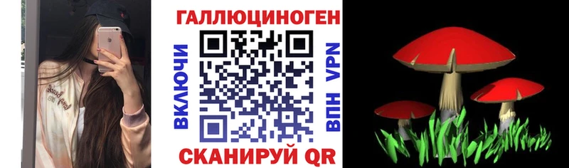 Псилоцибиновые грибы мухоморы Бийск
