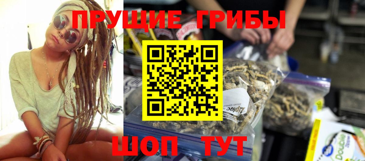 Бийск  Галлюциногенные грибы Psilocybine cubensis  Галлюциногенные грибы Magic Shrooms  сколько стоит  Вход с VPN 