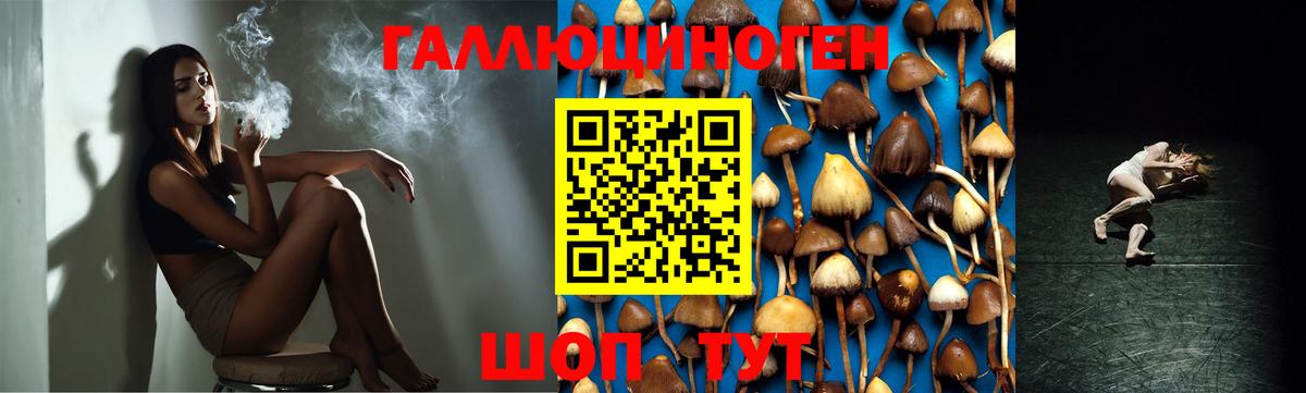 Галлюциногенные грибы ЛСД Бийск
